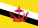 E-sim فولو 965 - Follow 965  E-sim - فولو 965 - Follow 965