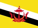 E-sim فولو 965 - Follow 965  E-sim - فولو 965 - Follow 965