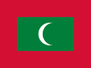E-sim فولو 965 - Follow 965  E-sim - فولو 965 - Follow 965